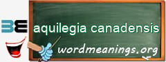 WordMeaning blackboard for aquilegia canadensis